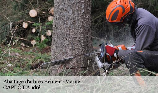 Abattage d'arbres 77 Seine-et-Marne  CAPLOT André
