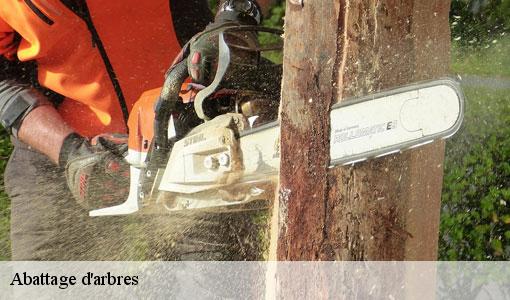 Abattage d'arbres Seine-et-Marne