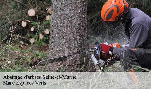 Abattage d'arbres 77 Seine-et-Marne Marc Espaces Verts
