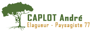 elagage-77-caplot-andre