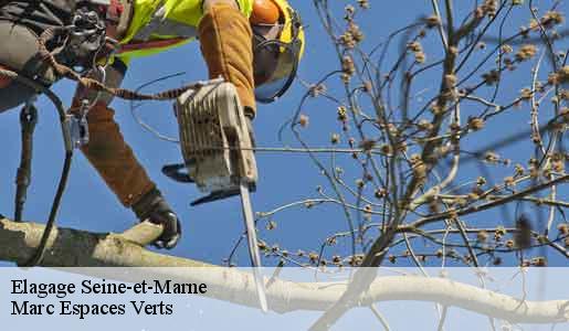 Elagage 77 Seine-et-Marne Marc Espaces Verts