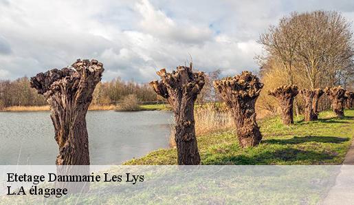 Etetage  dammarie-les-lys-77190 L.A élagage 