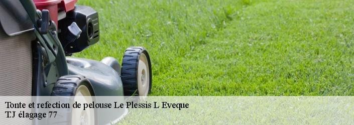 Tonte et refection de pelouse  le-plessis-l-eveque-77165 T.J élagage 77