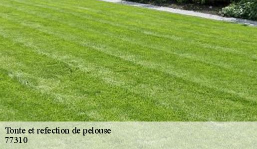 Tonte et refection de pelouse  77310