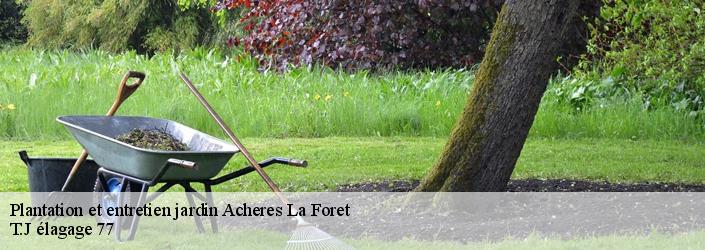 Plantation et entretien jardin  acheres-la-foret-77760 T.J élagage 77