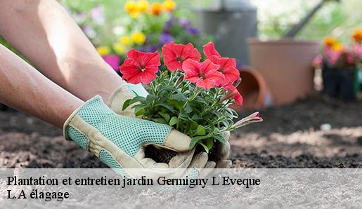 Plantation et entretien jardin  germigny-l-eveque-77910 L.A élagage 