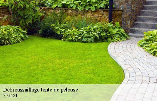 Débroussaillage tonte de pelouse  77120