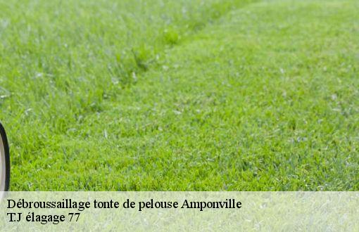 Débroussaillage tonte de pelouse  amponville-77760 T.J élagage 77