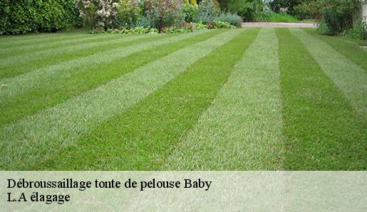 Débroussaillage tonte de pelouse  baby-77480 T.J élagage 77