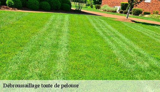 Débroussaillage tonte de pelouse  77480