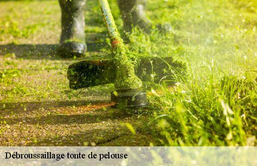 Débroussaillage tonte de pelouse  77700