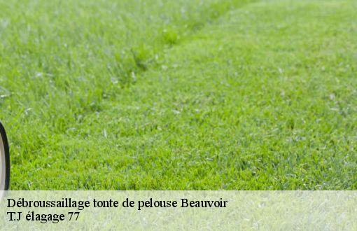 Débroussaillage tonte de pelouse  beauvoir-77390 T.J élagage 77