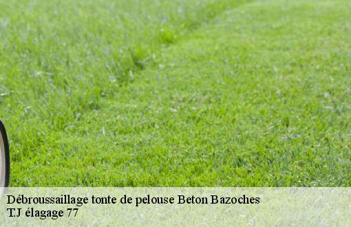 Débroussaillage tonte de pelouse  beton-bazoches-77320 T.J élagage 77