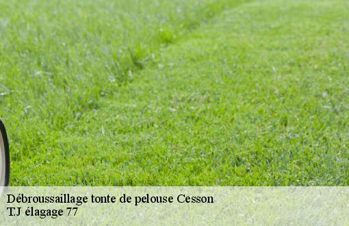 Débroussaillage tonte de pelouse  cesson-77240 T.J élagage 77