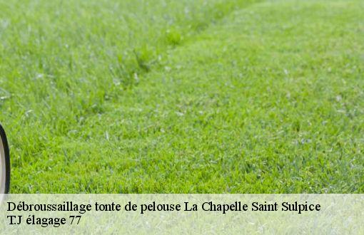 Débroussaillage tonte de pelouse  la-chapelle-saint-sulpice-77160 T.J élagage 77