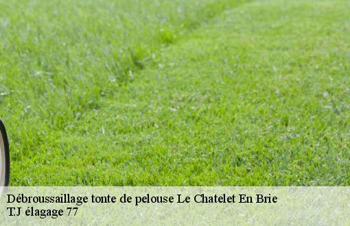 Débroussaillage tonte de pelouse  le-chatelet-en-brie-77820 T.J élagage 77