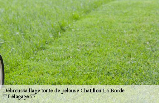 Débroussaillage tonte de pelouse  chatillon-la-borde-77820 T.J élagage 77