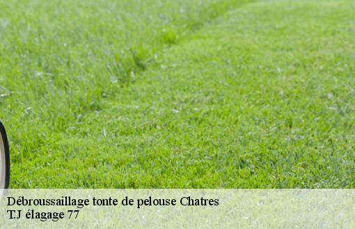 Débroussaillage tonte de pelouse  chatres-77610 T.J élagage 77