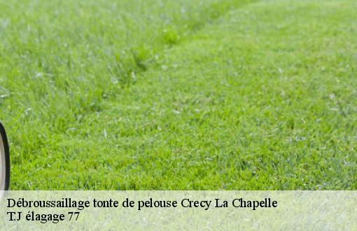 Débroussaillage tonte de pelouse  crecy-la-chapelle-77580 T.J élagage 77