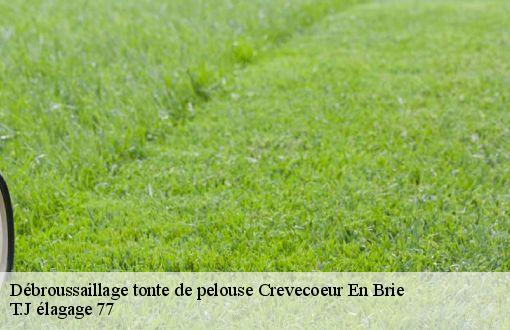 Débroussaillage tonte de pelouse  crevecoeur-en-brie-77610 T.J élagage 77