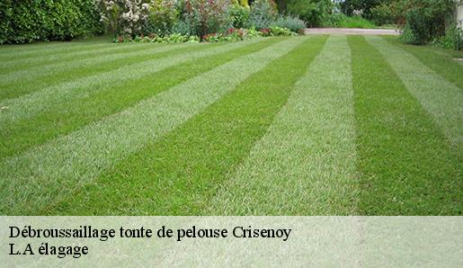 Débroussaillage tonte de pelouse  crisenoy-77390 T.J élagage 77