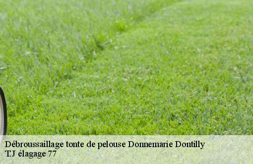 Débroussaillage tonte de pelouse  donnemarie-dontilly-77520 T.J élagage 77