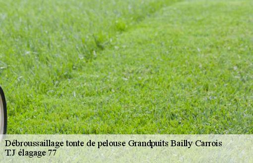 Débroussaillage tonte de pelouse  grandpuits-bailly-carrois-77720 T.J élagage 77