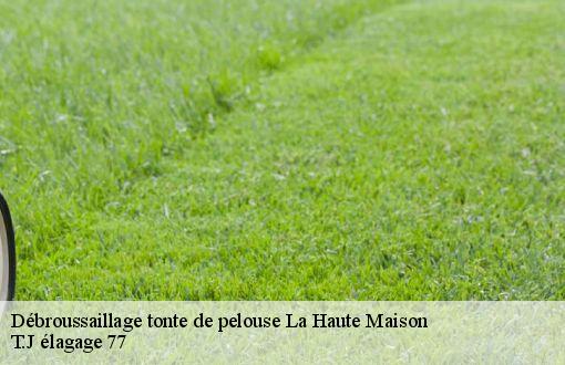 Débroussaillage tonte de pelouse  la-haute-maison-77580 T.J élagage 77