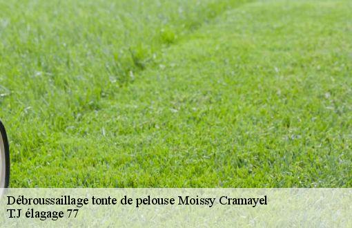 Débroussaillage tonte de pelouse  moissy-cramayel-77550 T.J élagage 77