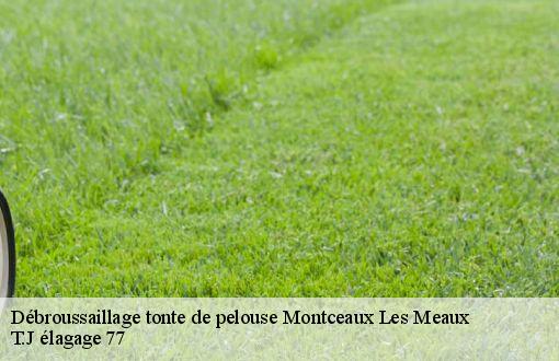 Débroussaillage tonte de pelouse  montceaux-les-meaux-77470 T.J élagage 77