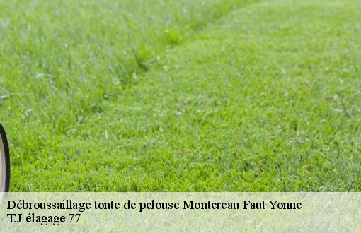 Débroussaillage tonte de pelouse  montereau-faut-yonne-77130 T.J élagage 77