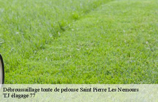 Débroussaillage tonte de pelouse  saint-pierre-les-nemours-77140 T.J élagage 77