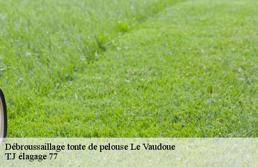 Débroussaillage tonte de pelouse  le-vaudoue-77123 T.J élagage 77