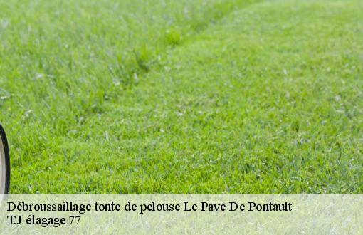 Débroussaillage tonte de pelouse  le-pave-de-pontault-77340 T.J élagage 77