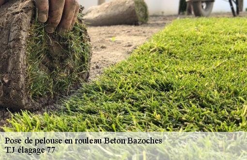 Pose de pelouse en rouleau  beton-bazoches-77320 T.J élagage 77