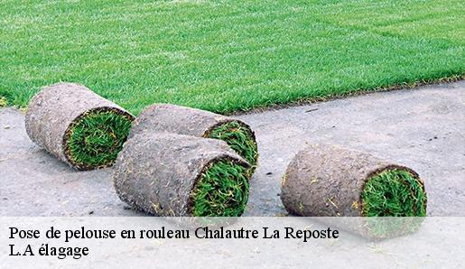 Pose de pelouse en rouleau  chalautre-la-reposte-77520 T.J élagage 77