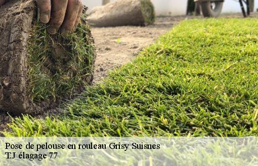 Pose de pelouse en rouleau  grisy-suisnes-77166 T.J élagage 77