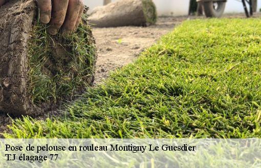 Pose de pelouse en rouleau  montigny-le-guesdier-77480 T.J élagage 77