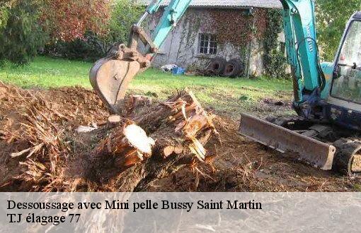 Dessoussage avec Mini pelle  bussy-saint-martin-77600 T.J élagage 77