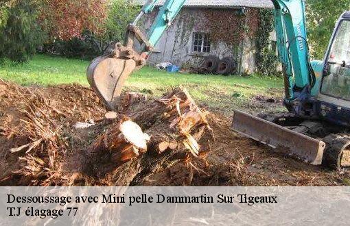 Dessoussage avec Mini pelle  dammartin-sur-tigeaux-77163 T.J élagage 77