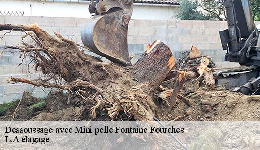 Dessoussage avec Mini pelle  fontaine-fourches-77480 T.J élagage 77