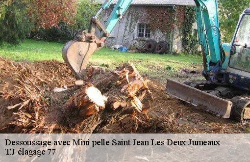 Dessoussage avec Mini pelle  saint-jean-les-deux-jumeaux-77660 T.J élagage 77