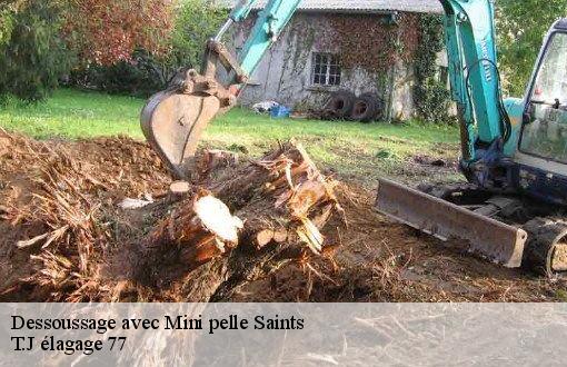 Dessoussage avec Mini pelle  saints-77120 T.J élagage 77