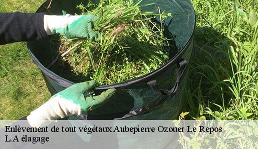 Enlèvement de tout végétaux  aubepierre-ozouer-le-repos-77720 L.A élagage 