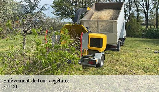 Enlèvement de tout végétaux  77120