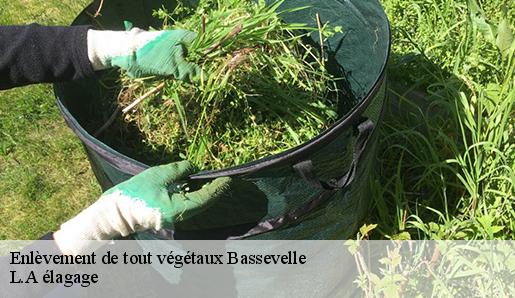 Enlèvement de tout végétaux  bassevelle-77750 L.A élagage 