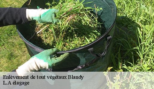 Enlèvement de tout végétaux  blandy-77115 L.A élagage 