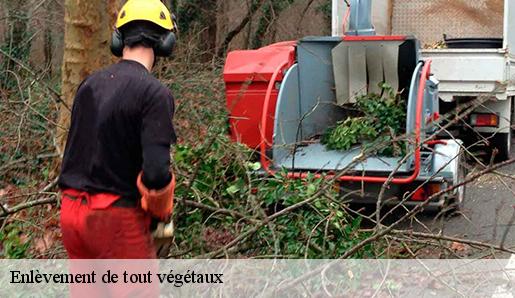 Enlèvement de tout végétaux  77115