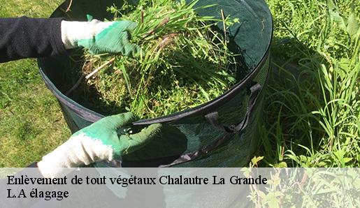 Enlèvement de tout végétaux  chalautre-la-grande-77171 L.A élagage 