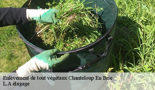 Enlèvement de tout végétaux  chanteloup-en-brie-77600 L.A élagage 